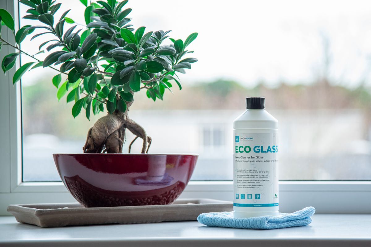 Eco-friendly glass cleaner beside a potted plant on a windowsill